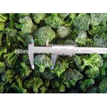 Brócoli congelado IQF